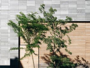Avocats - Nancy - Cabinet Caboria