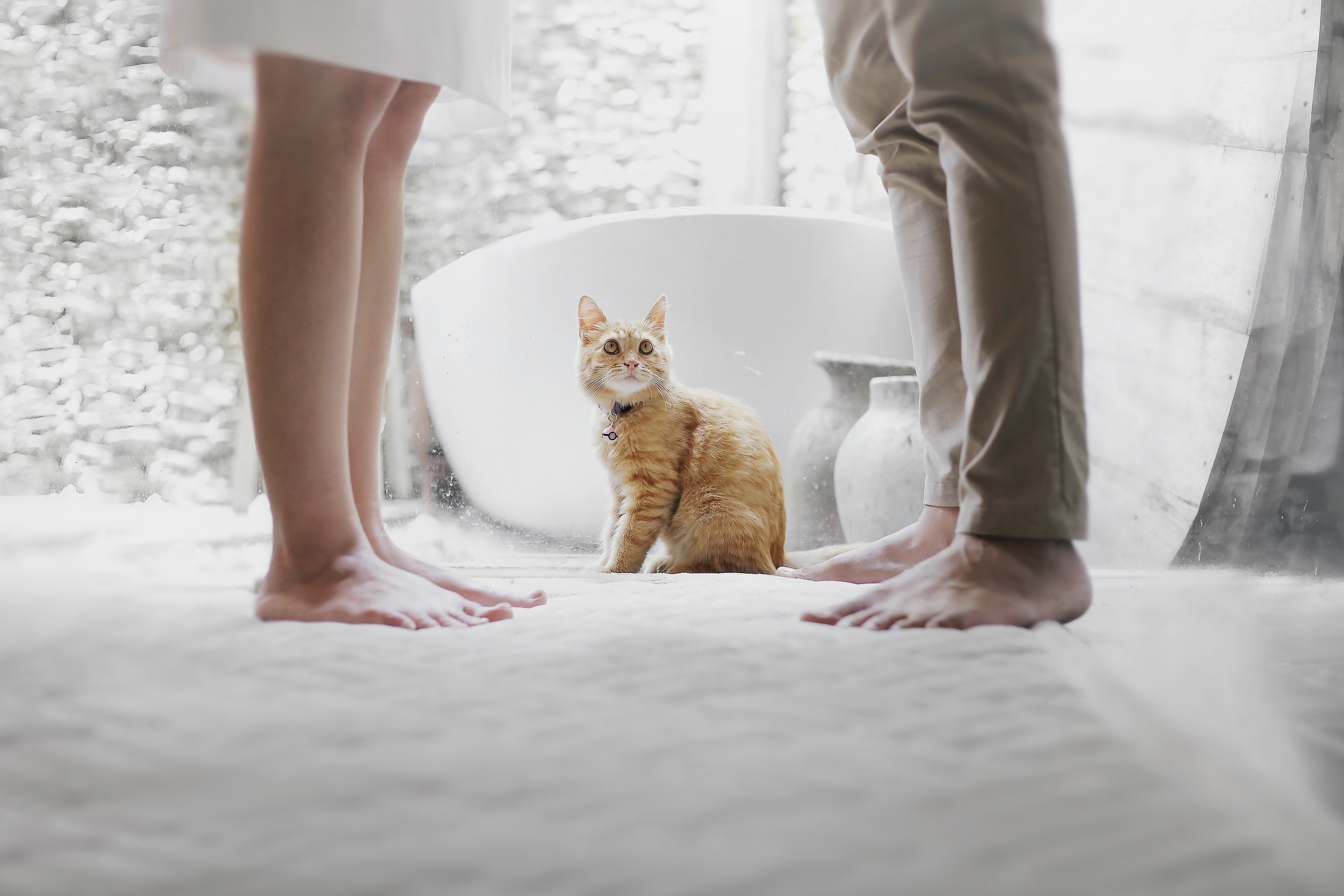 LE DIVORCE PAR CONSENTEMENT MUTUEL